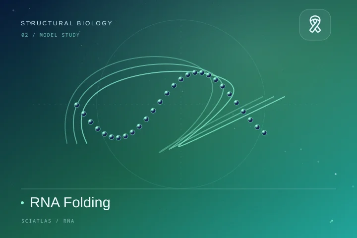 RNA 折叠与配对科学主题封面